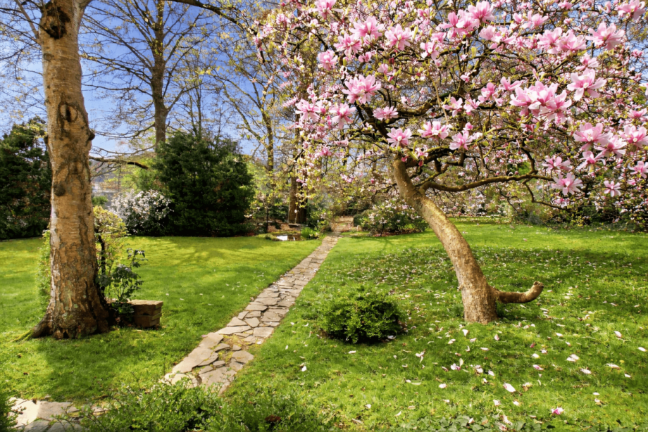 Fr�hlingsansicht Magnolie Villa Wetter (Ruhr)