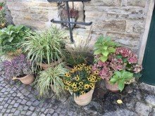 Autofrei kann man viel gestalt VERKAUFT! Stadthaus am See! Denkmalgesch�tztes Fachwerkhaus mit Flair in der Wetteraner Freiheit!