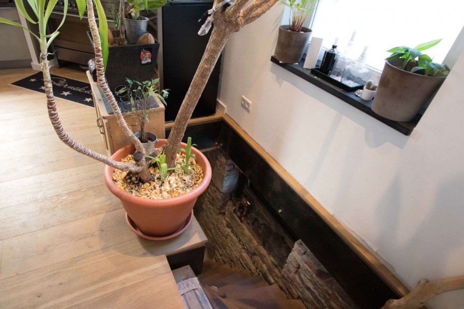 Offener Zugang zum Herrenkelle Terrassenwohnung Wetter