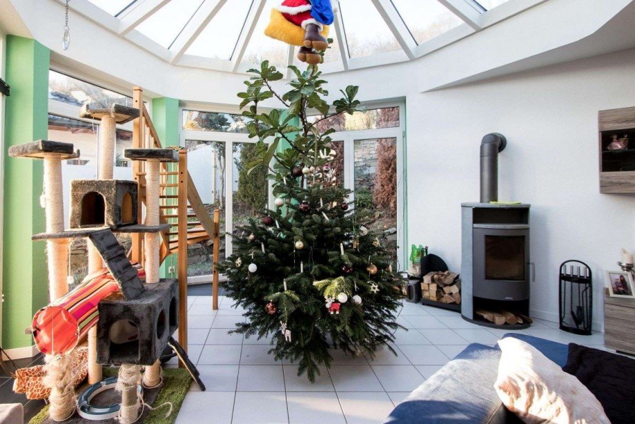 Wintergarten mit Glaskuppeldac Einfamilienhaus Wetter