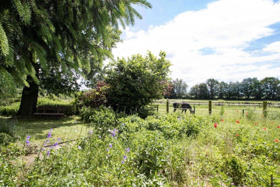 und die Pferdeweide am Gartenz Bungalow Marl