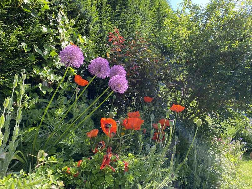 Impression Haus Herdecke