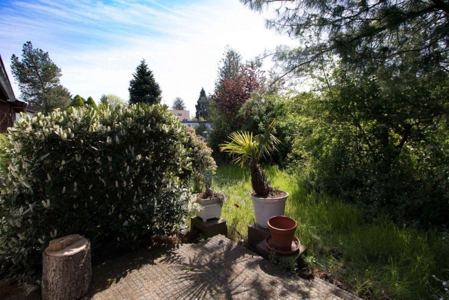 Aussicht von der Terrasse Bungalow Erftstadt